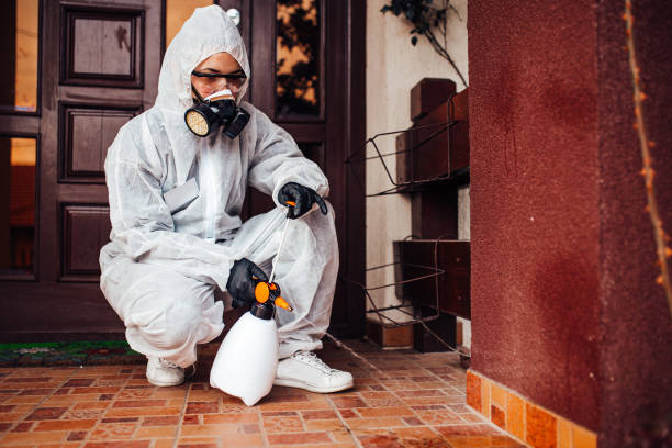 Reliable Wasp Removal contractor in Magnolia, NJ by Show Me Pest Control